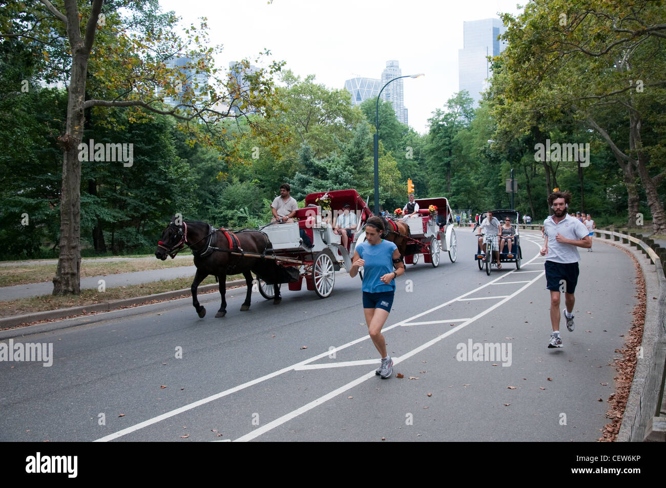 Central Park in New York City, USA Stockfoto