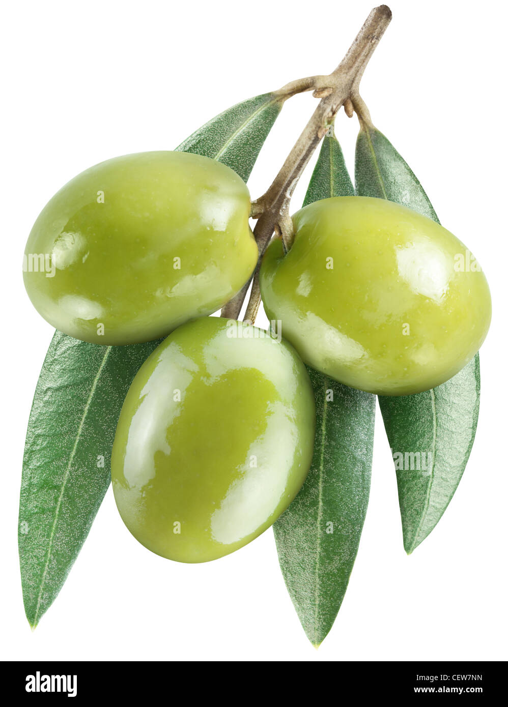 Oliven mit Blättern auf einem weißen Hintergrund. Datei enthält den Pfad zum Schneiden. Stockfoto
