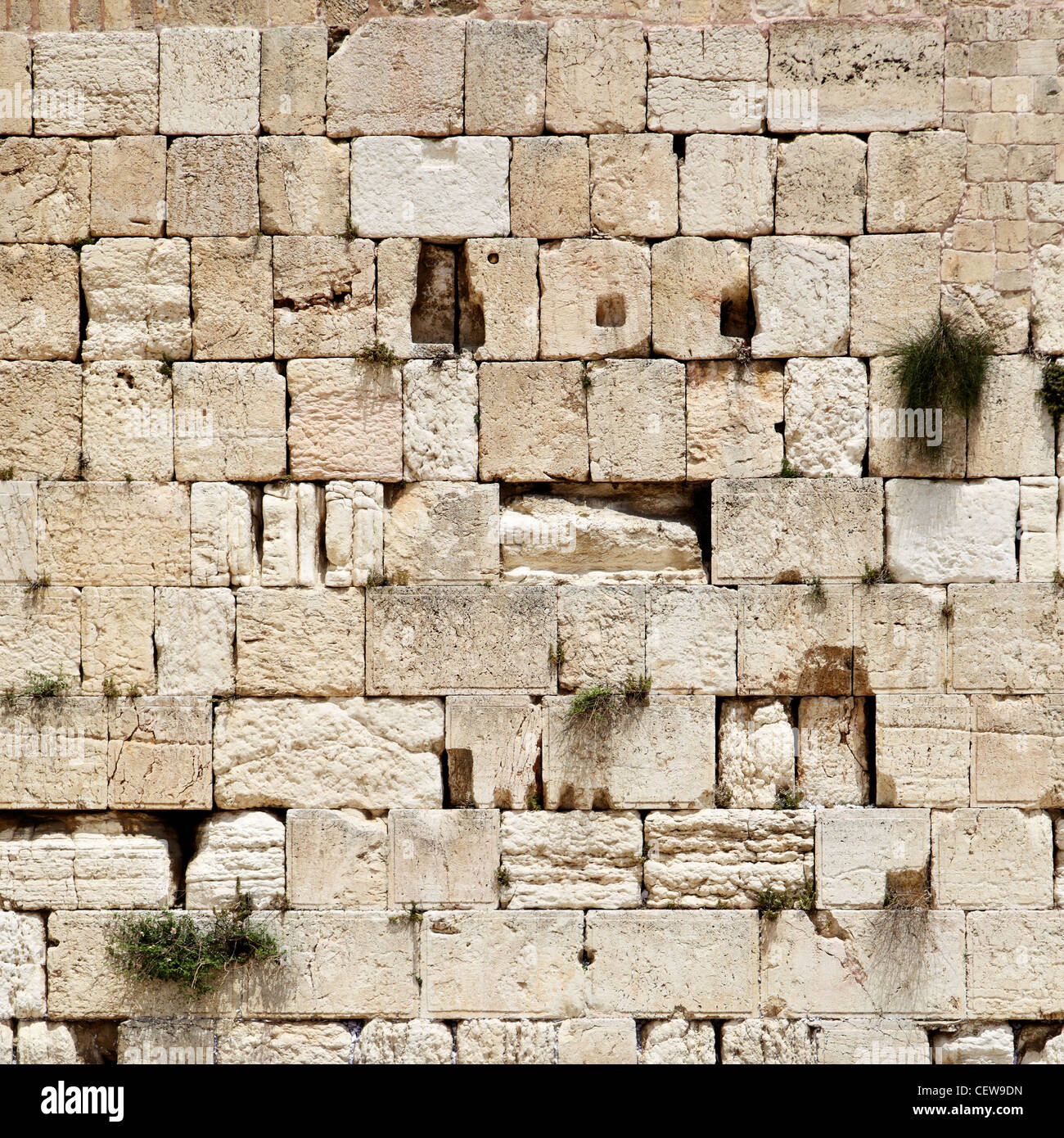 Nahaufnahme der Westmauer (Klagemauer). Jerusalem. Israel. Stockfoto