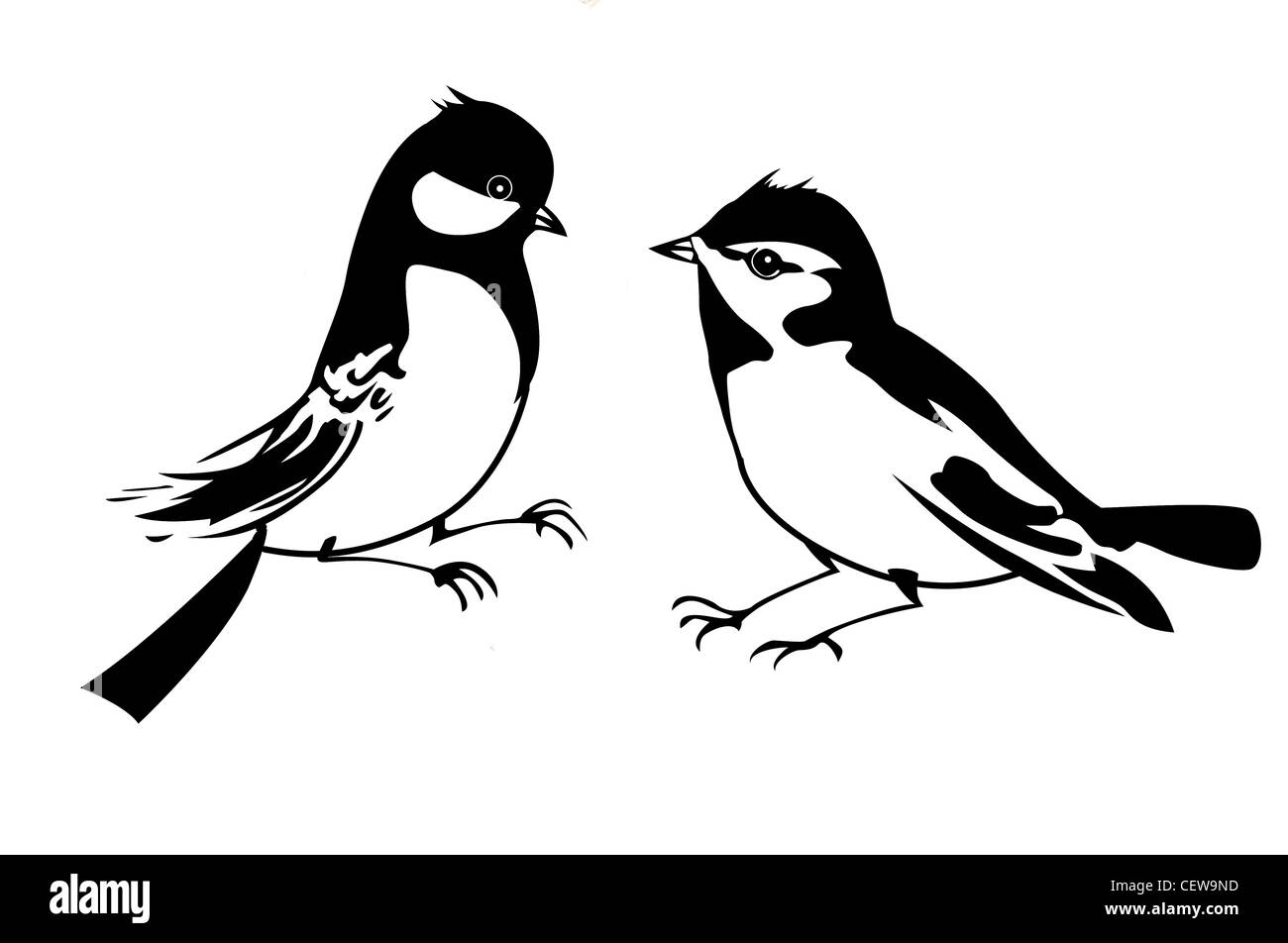 Vektor-Silhouette des kleinen Vogels auf weißem Hintergrund Stockfoto