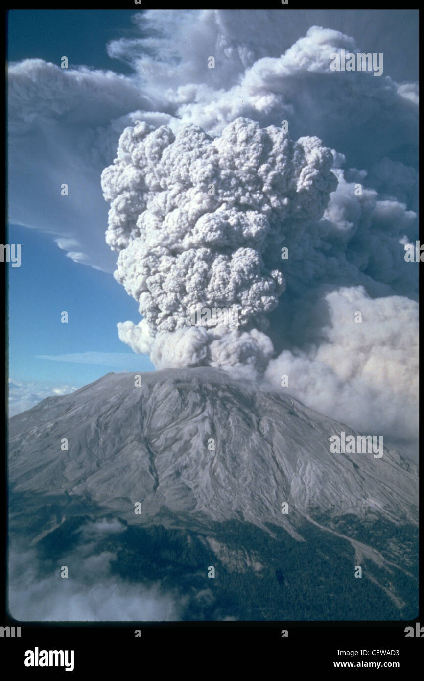 Fünf weitere explosive Eruptionen des Mount St. Helens ereigneten sich 1980 (nach Mai 18), darunter dieses spektakuläre Ereignis vom Juli 22. Dieser Ausbruch schickte Bimsstein und Asche 6 bis 11 Meilen (10-18 Kilometer) in die Luft, und war sichtbar in Seattle, Washington, 100 Meilen (160 Kilometer) nach Norden. Der Blick hier ist von Süden. Stockfoto
