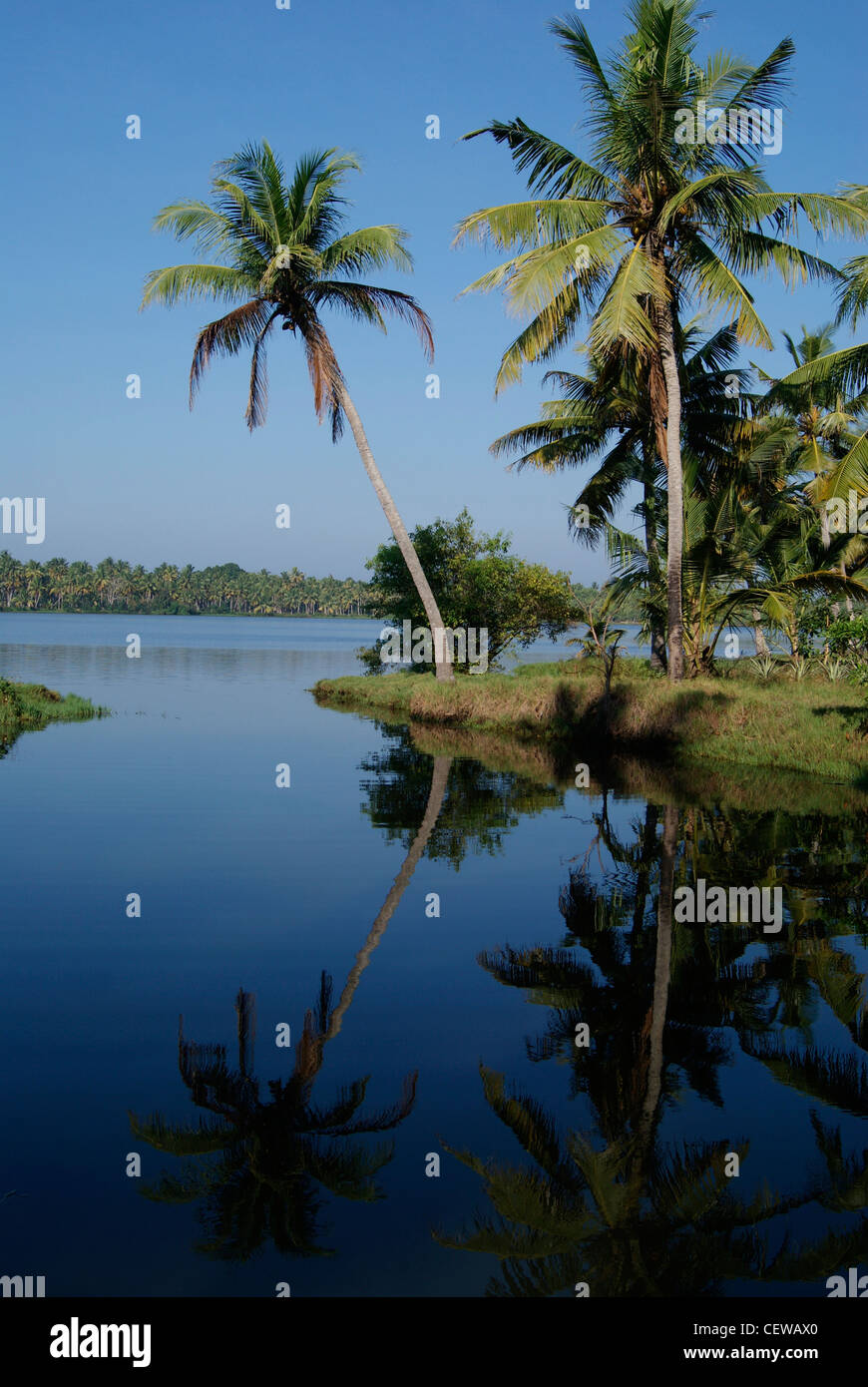 Schöne Landschaft der Kerala-Landschaft in der Nähe von Silent Kerala backwaters Stockfoto
