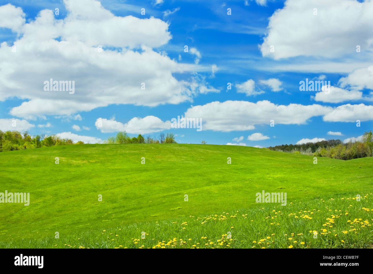 Blauer Himmel und Wolken über Frühling Feld-Hof in Maine. Stockfoto