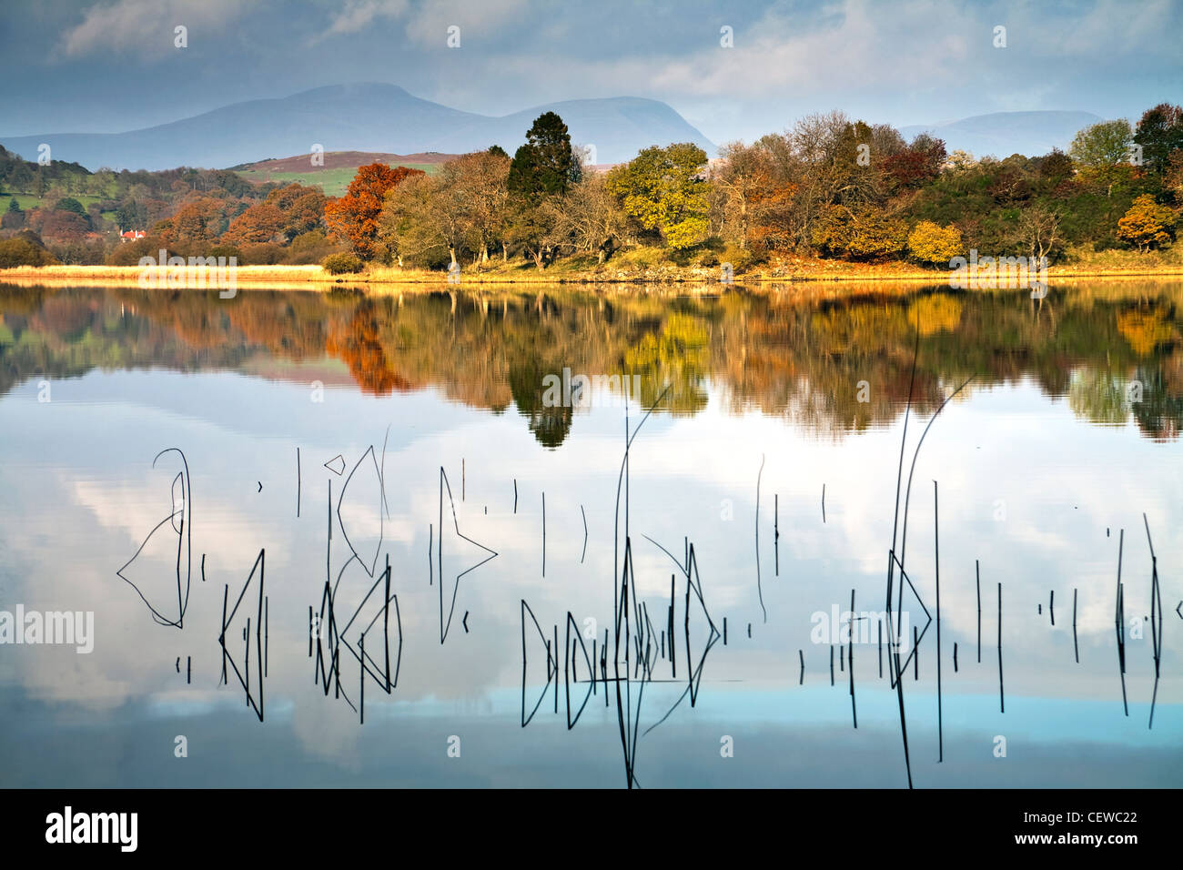 Ein Blick über Loch Ken in Dumfries und Galloway Schottland im Herbst Stockfoto