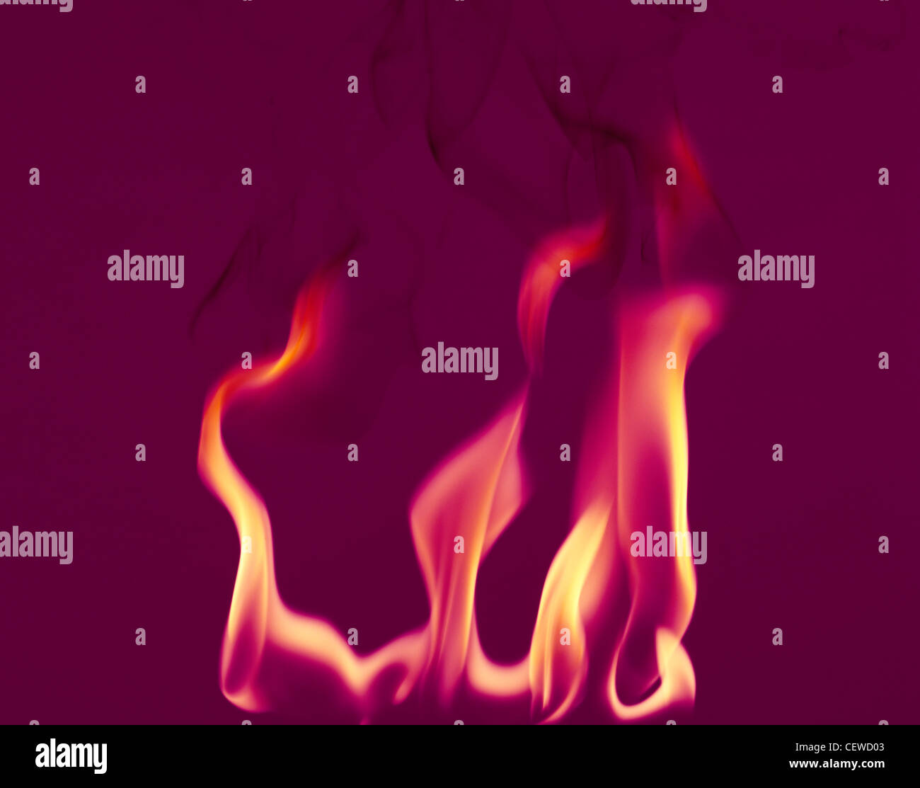 Flammen des Feuers mit Rauchspuren auf dunklem lila Hintergrund Stockfoto