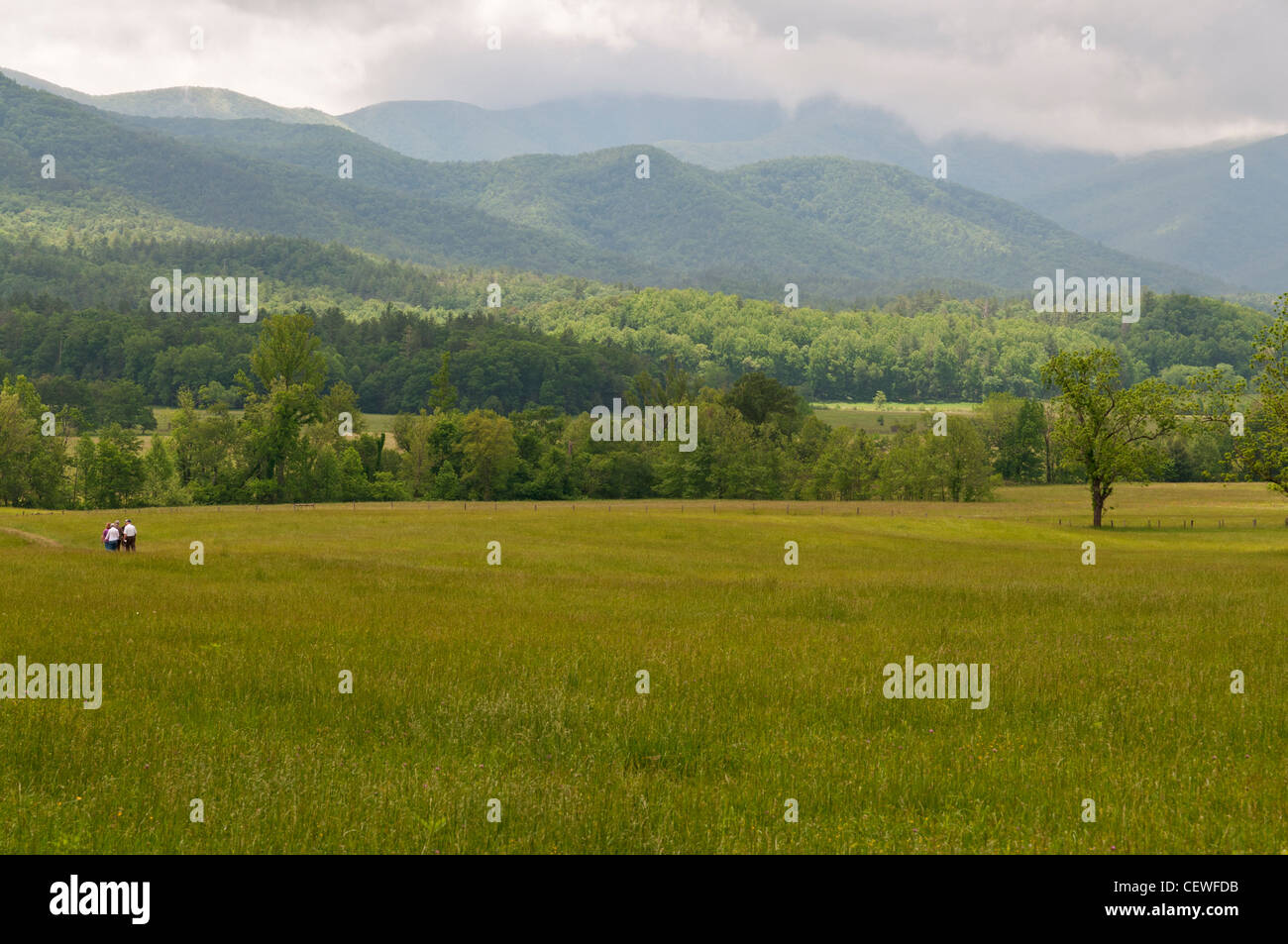 Tennessee, Great Smoky Mountains National Park, Cades Cove Loop Road anzeigen. Stockfoto