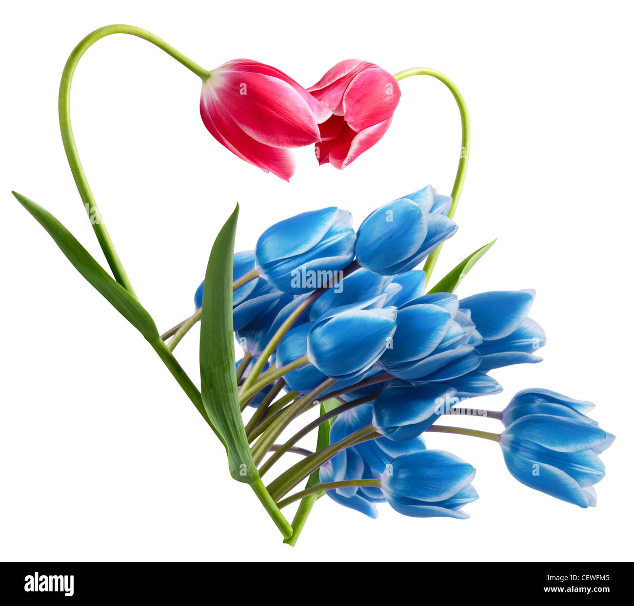 Illustration für die Einladung oder eine Glückwunsch Karte Hochzeit. Blumenmuster in Form von Herzen Stockfoto