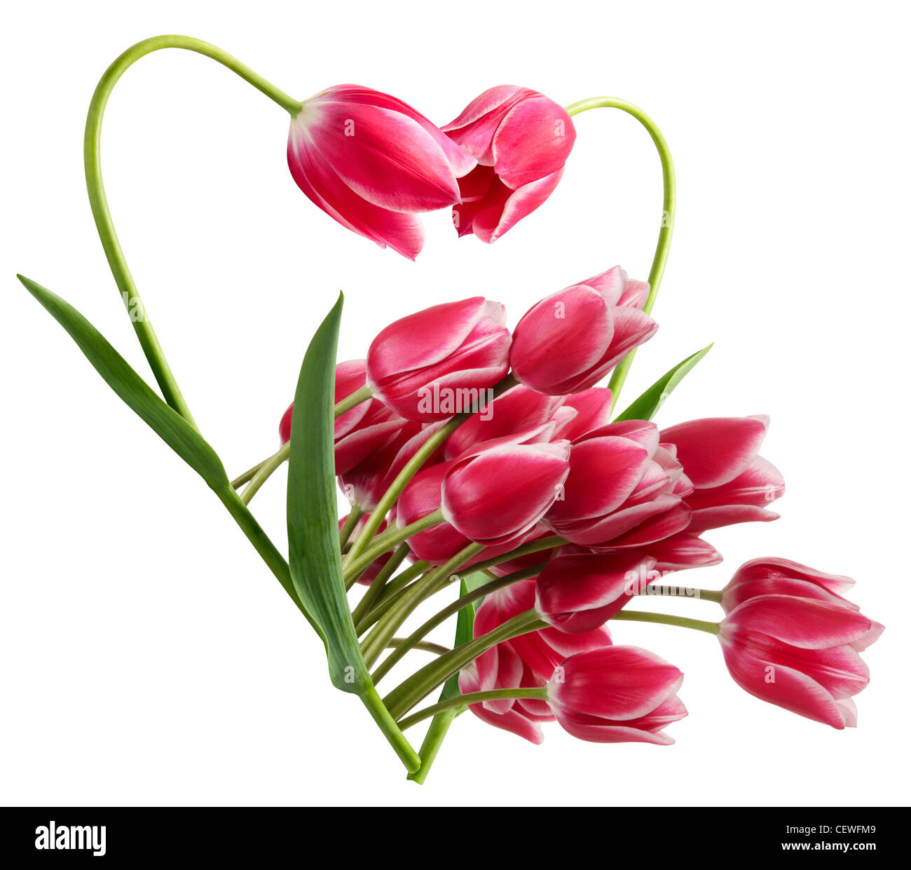 Illustration für die Einladung oder eine Glückwunsch Karte Hochzeit. Blumenmuster in Form von Herzen Stockfoto