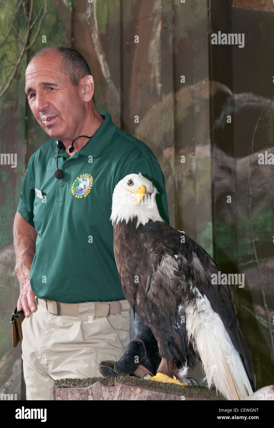 Tennessee, Pigeon Forge, Dollywood, pädagogische Präsentation von American Eagle Foundation Stockfoto