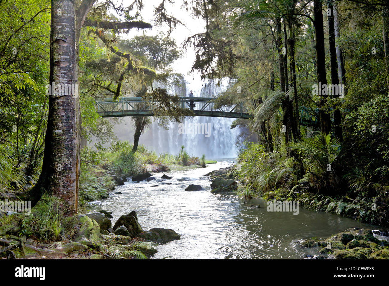 Whangarei fällt auf dem Hatea River, North Island, Neuseeland. Stockfoto