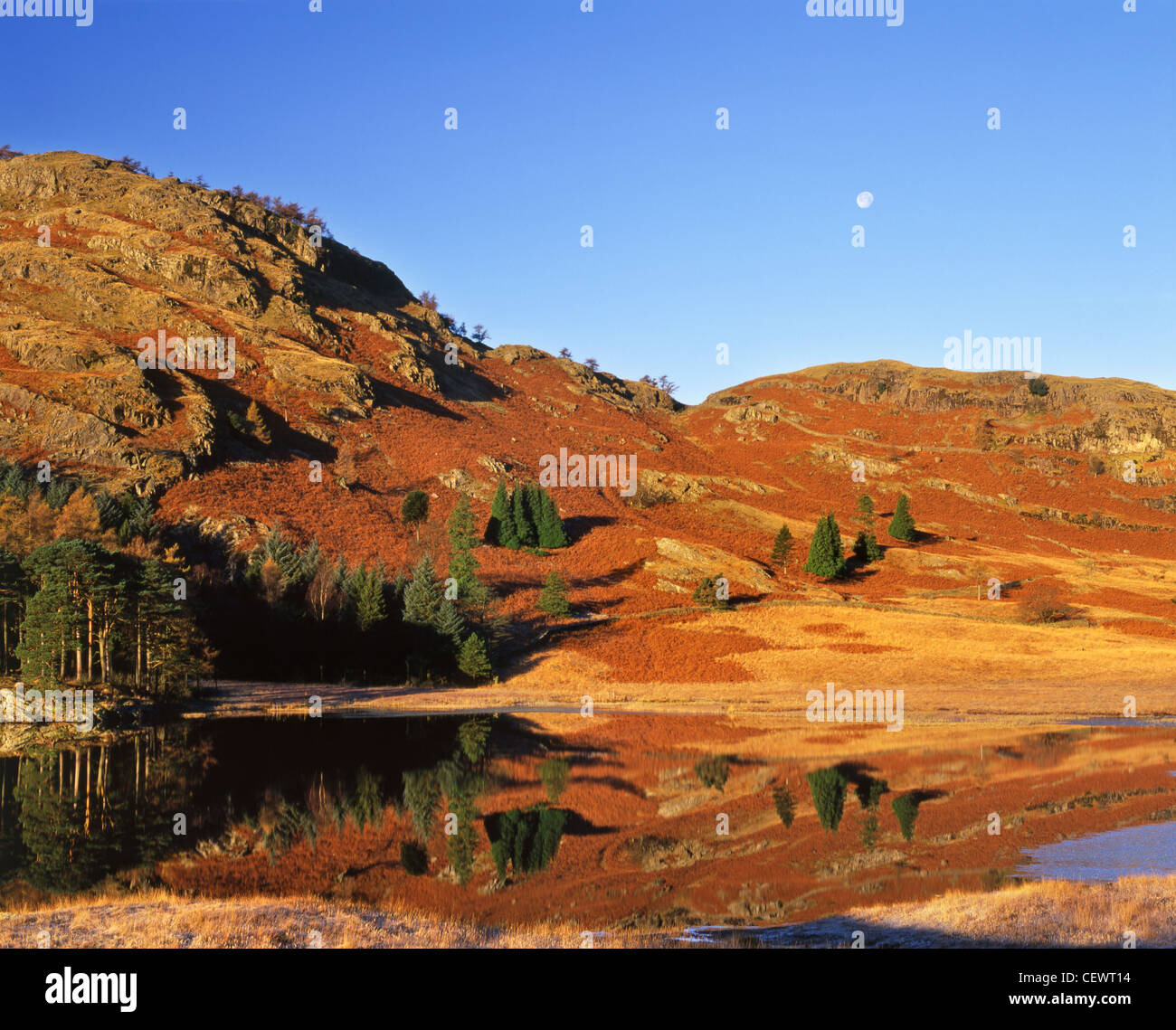 Der Mond geht über eine Windstille Blea Tarn an einem Wintertag. Stockfoto