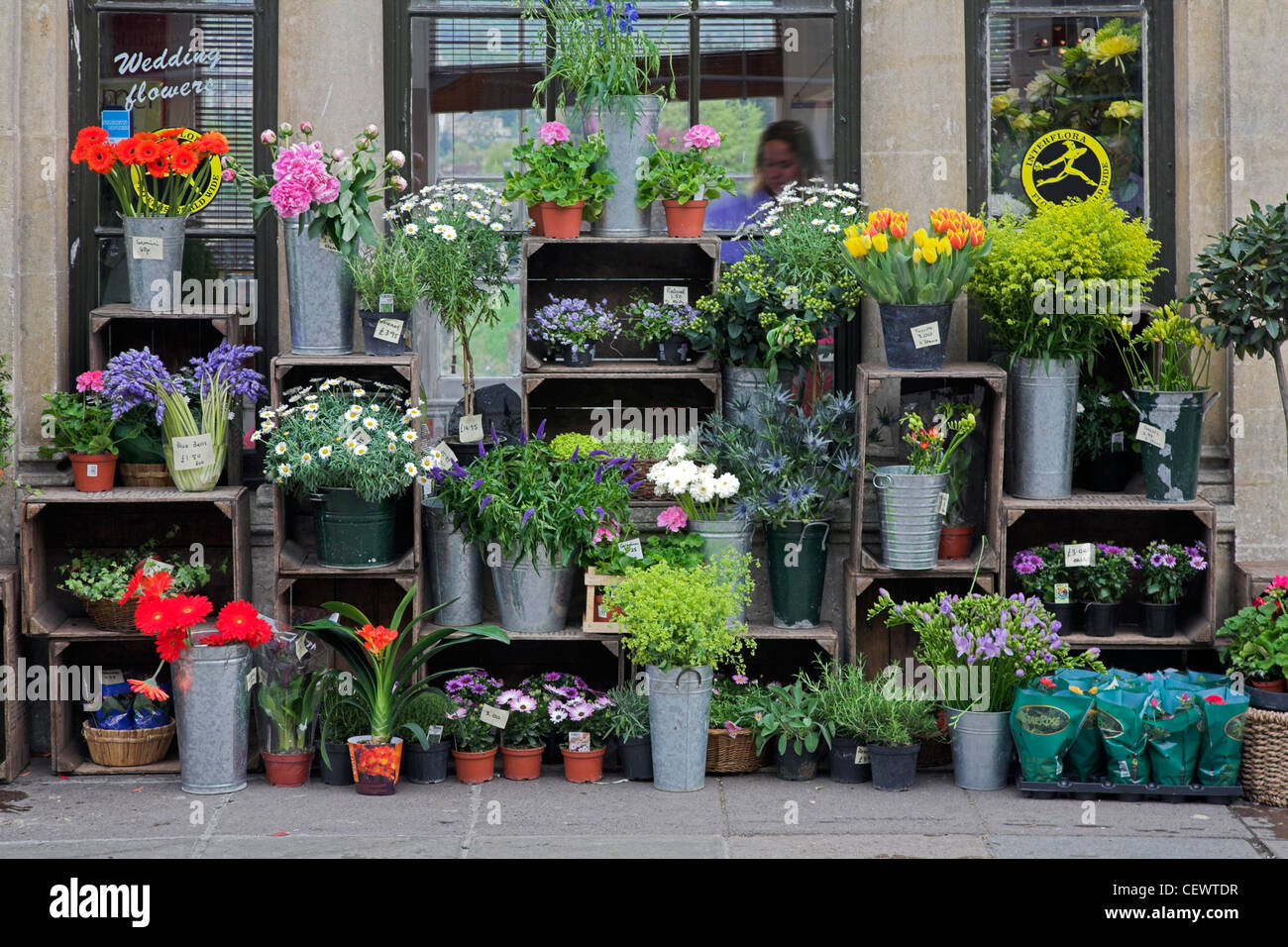 Blumengeschäft im Stadtzentrum von Bad. Stockfoto