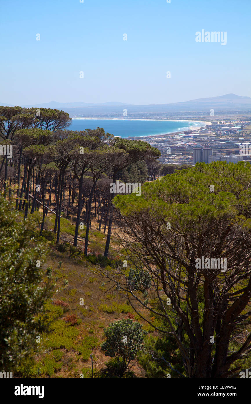 Blick auf die Tafelbucht vom Berg in Kapstadt Stockfoto