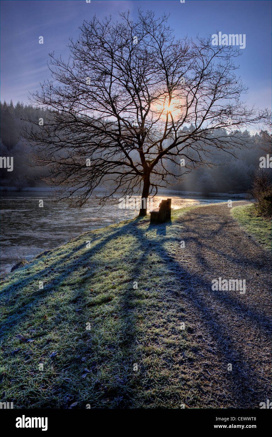 Ein Baum Silhouette gegen die aufgehende Sonne an einem frostigen Morgen bei der Stockente Hecht in der Nähe von Parkend im Forest of Dean. Die Seen an Stockfoto