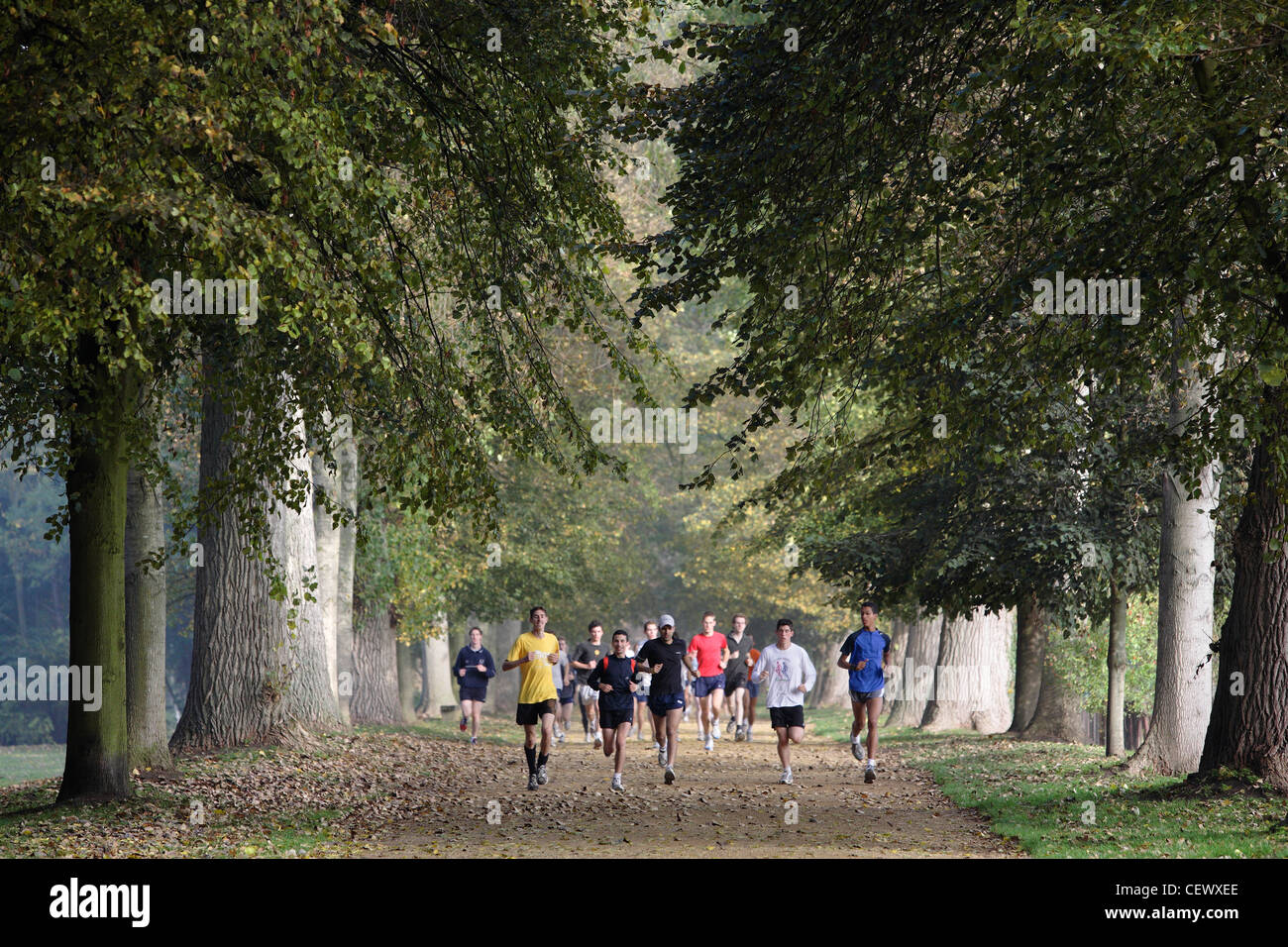 Läufer im Christ Church College Wiesen, Oxford. Stockfoto