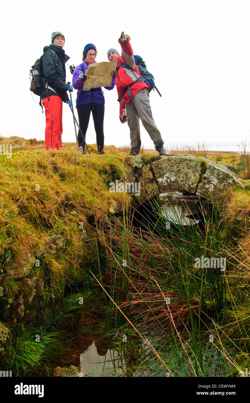 Beratung der Karte während eines Spaziergangs auf Dartmoor Stockfoto