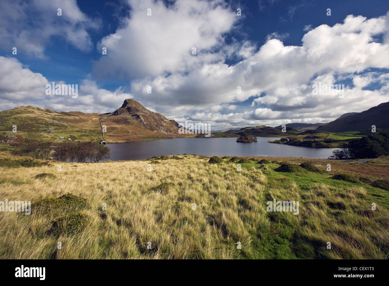 Cregennan Seen in der Nähe Ortszentrum, renommierten Ausflugsort auf der unteren Ebene auf Cadair Idris. Stockfoto