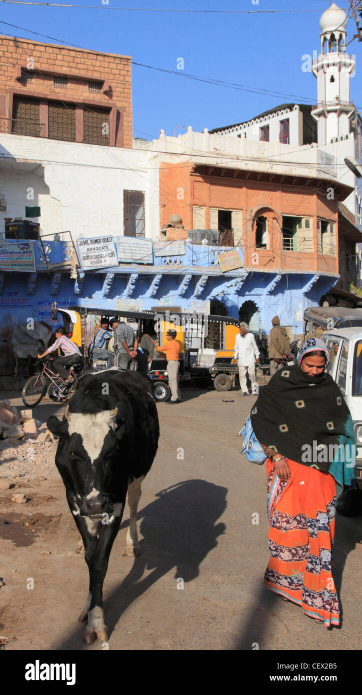 Indien, Rajasthan, Jodhpur, Altstadt, Straßenszene, Menschen, heilige Kuh, Stockfoto
