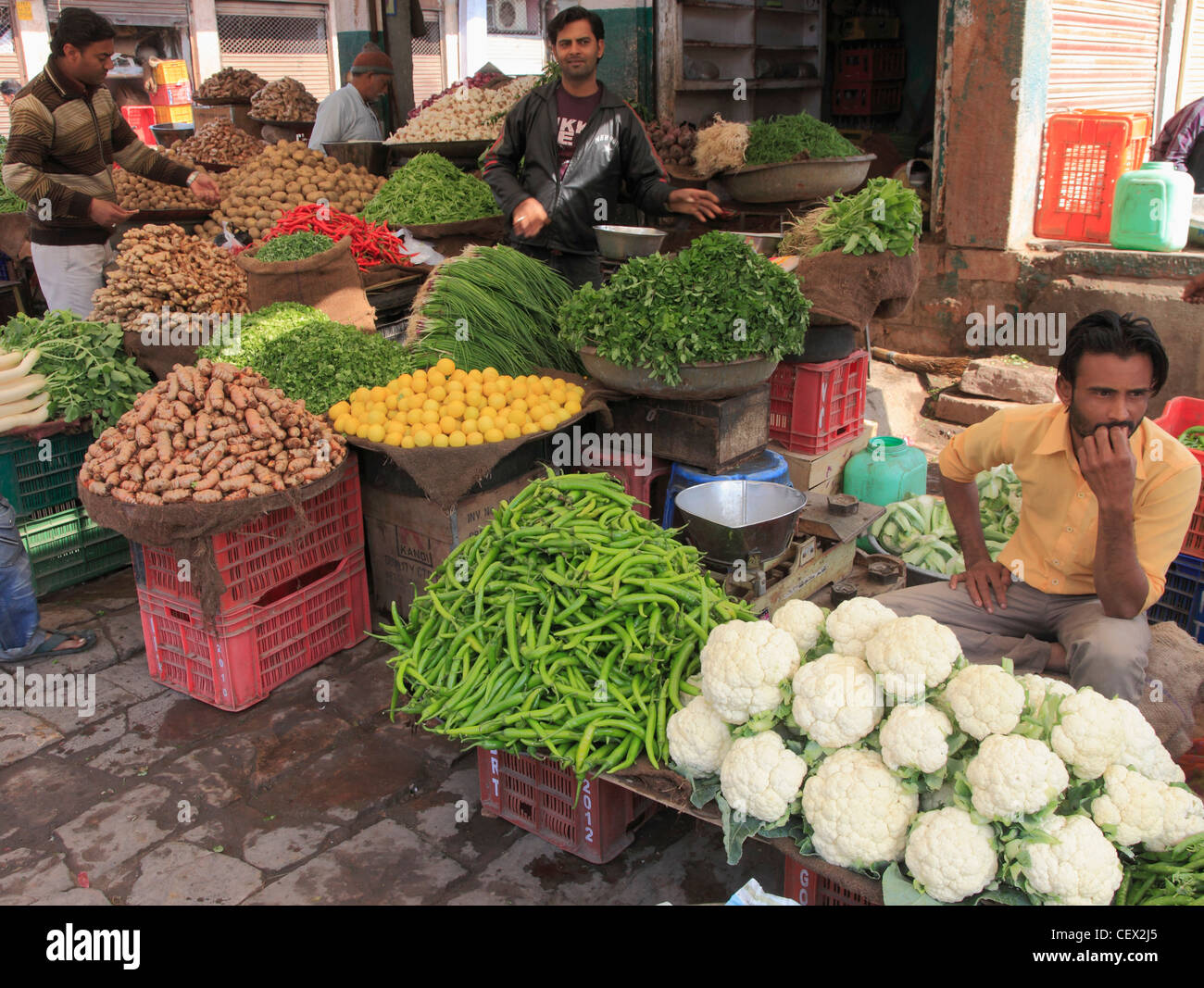 Jodhpur, Indien, Rajasthan, Sardar Bazar, Markt, Produkte, Personen, Stockfoto