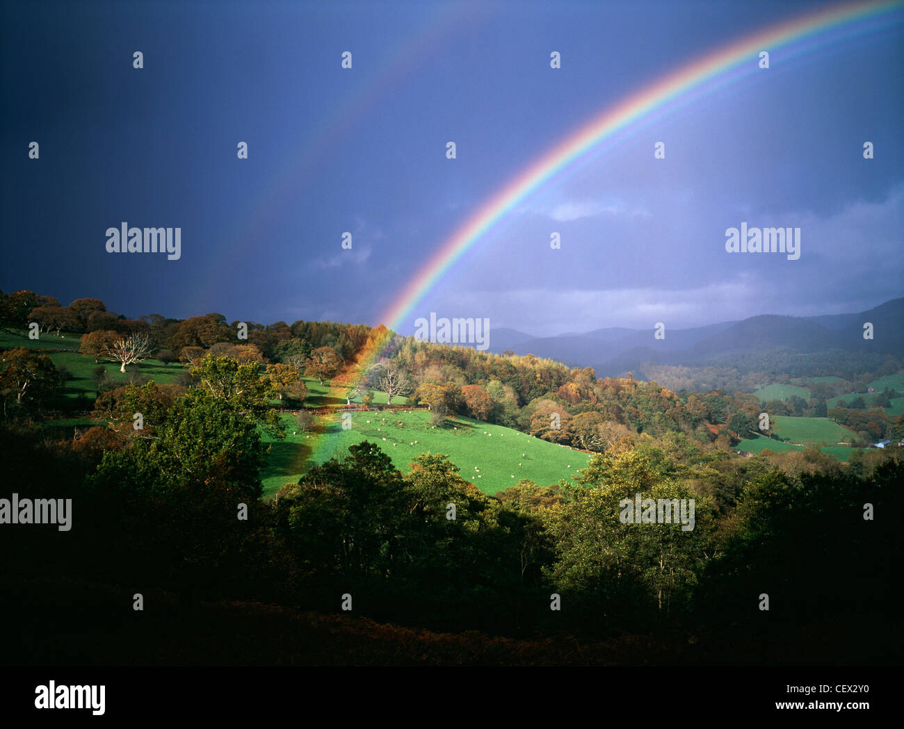 Gewitter mit Regenbogen gegen dunklen Himmel über walisischen Hügeln. Stockfoto
