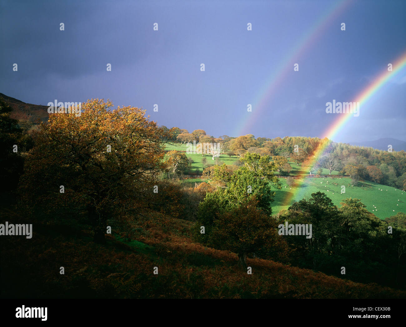 Sturm mit doppelter Regenbogen gegen dunklen Himmel über walisischen Hügeln. Stockfoto