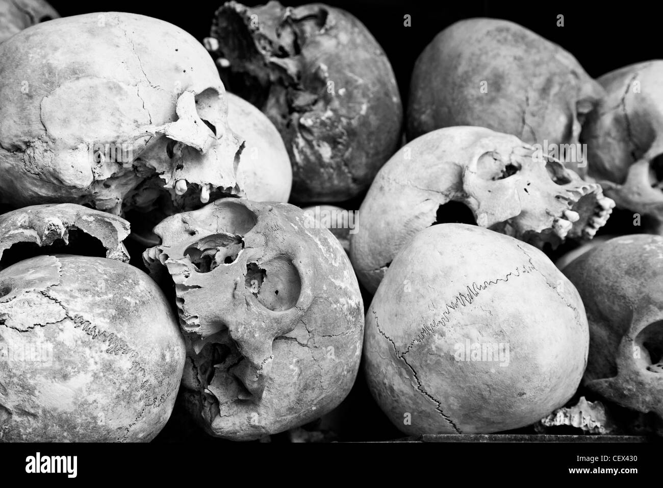 Nahaufnahme von einem Haufen von menschlichen Schädeln die Killing Fields in Phnom Penh, Kambodscha (Farbversion erhältlich bei CEX45N) Stockfoto