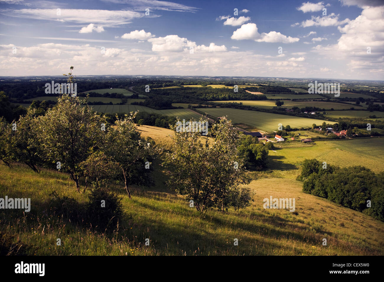 Blick vom Beacon Hill über Felder und Ackerland in Hampshire. Stockfoto