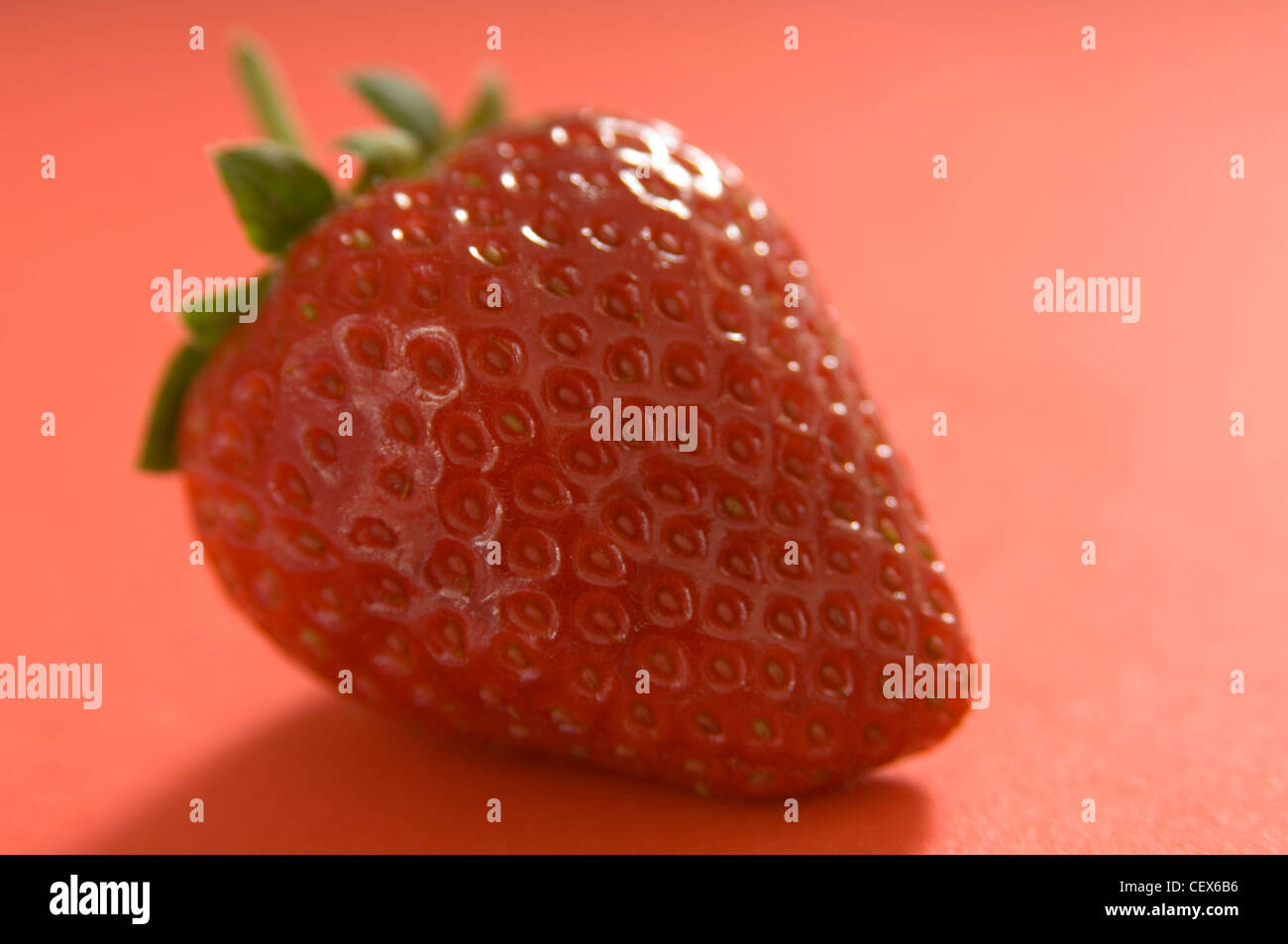 Eine Erdbeere auf einem staubigen rosa Hintergrund Stockfoto