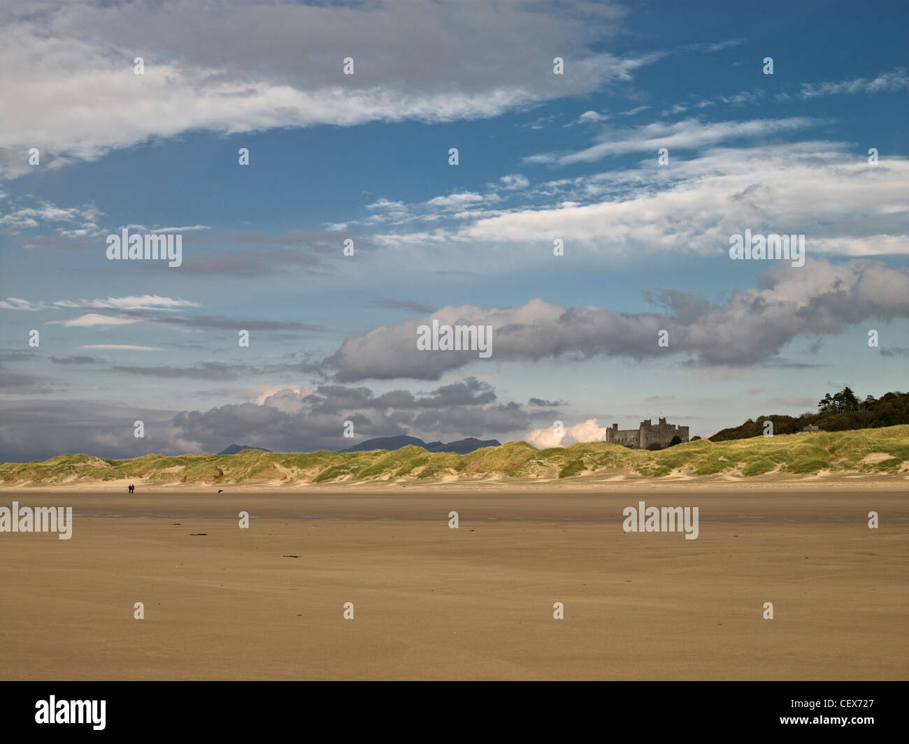 Ansicht von Harlech Castle von Harlech Strand. Das Meer hat im Laufe der Jahre nachgelassen aber verwendet, um an den Fuß der Klippen Providi kommen Stockfoto