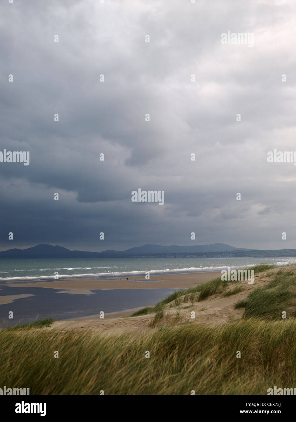 Blick über Sanddünen Strand Harlech durch die irische See. Stockfoto