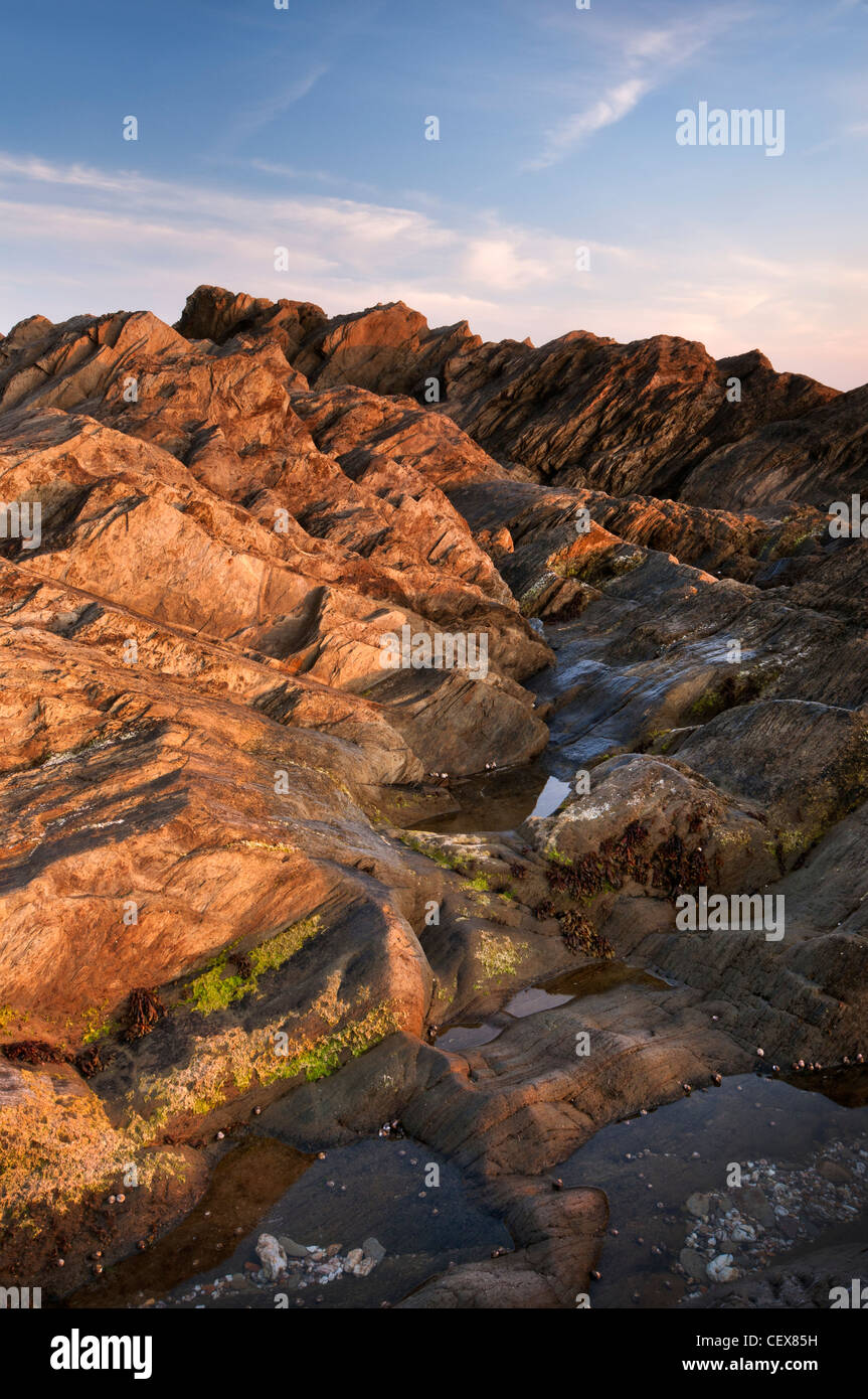 Zerklüftete Felsformationen, beleuchtet durch goldene Abend Sonnenlicht am Bantham Strand, Devon, England. Stockfoto