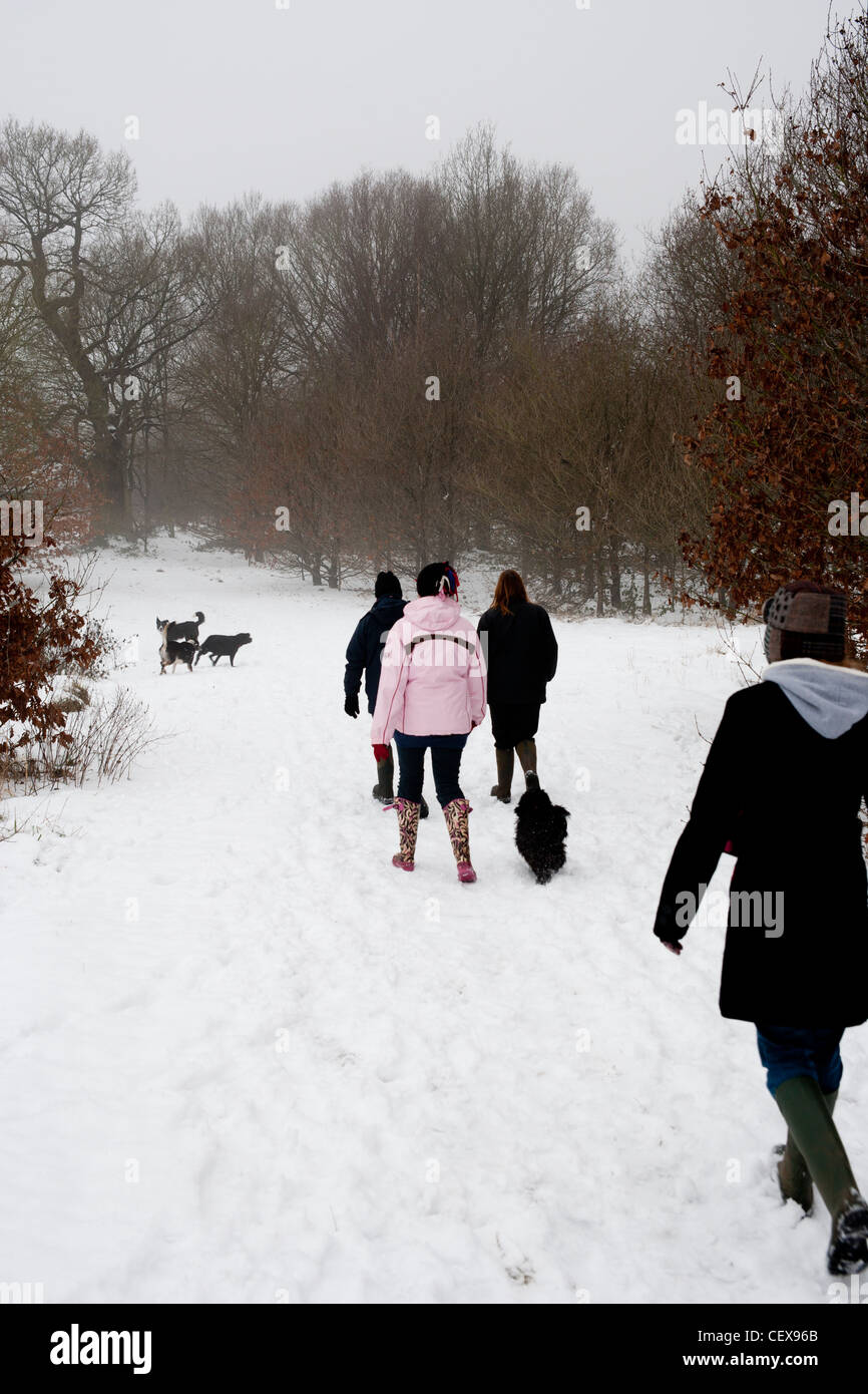 Passanten, die Hunde im Schnee Stockfoto