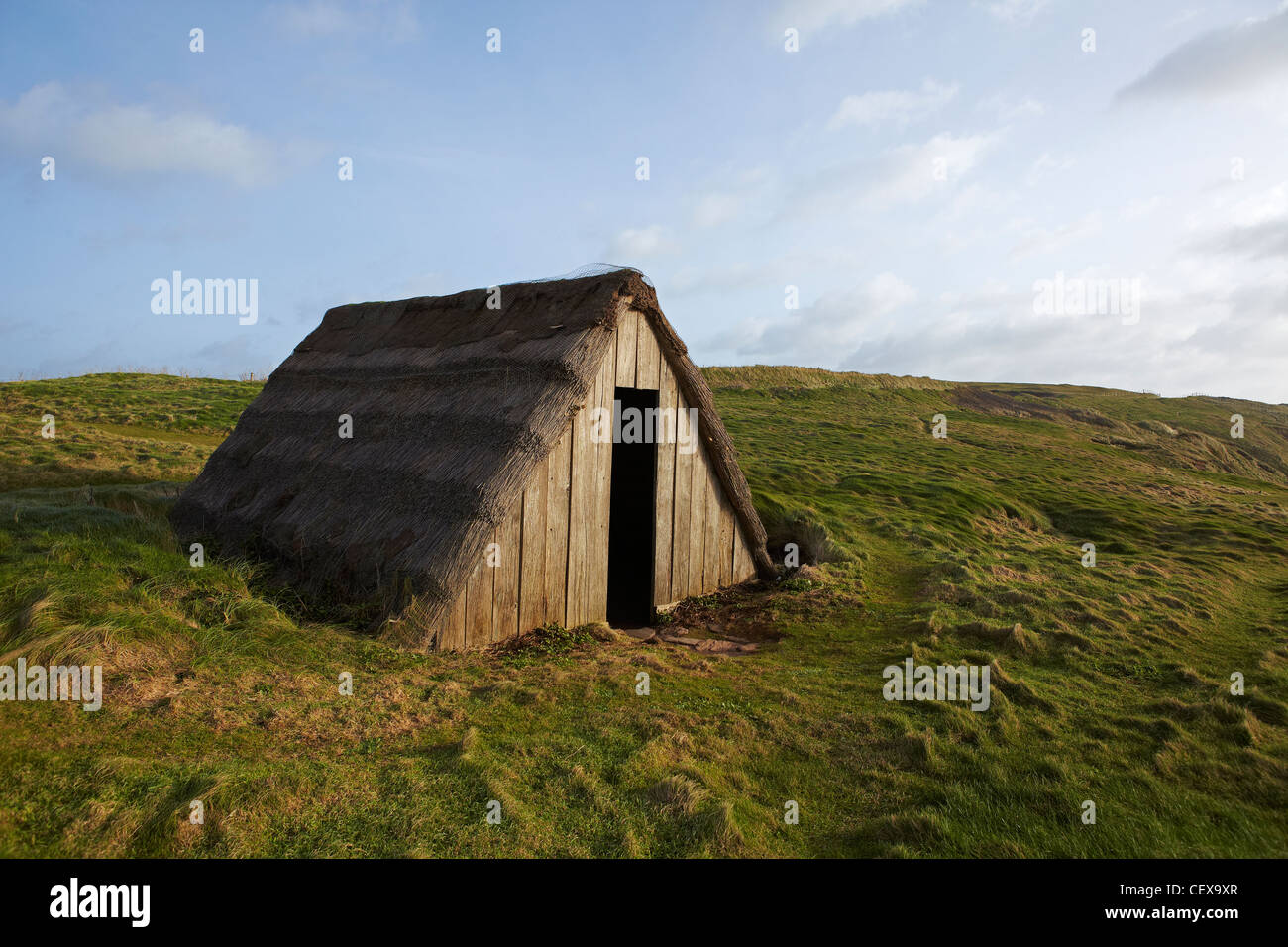 Seegras (Lava Brot) trocknen, Hütte, Süßwasser West, Pembrokeshire, Wales,  UK Stockfotografie - Alamy