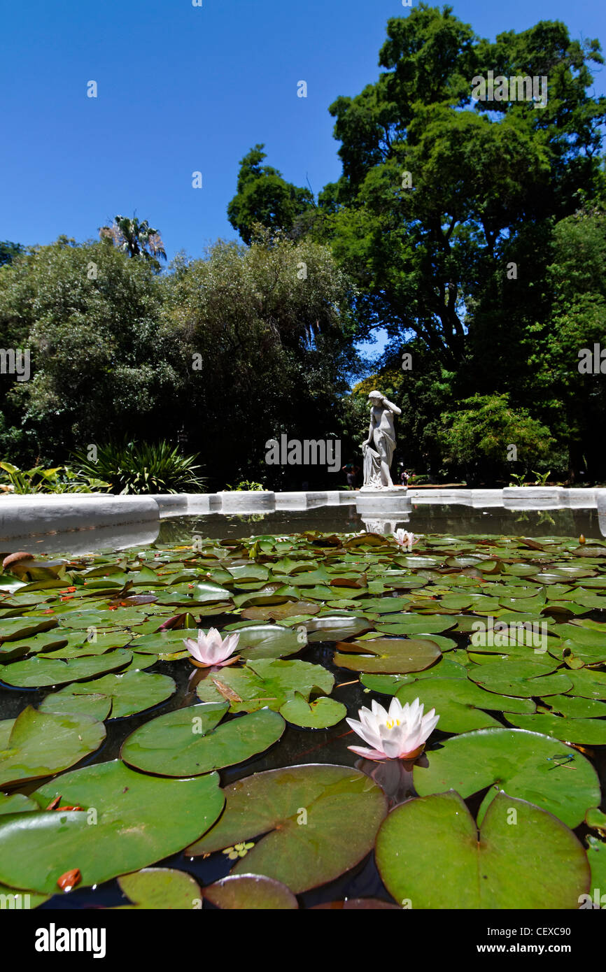 Botanischer Garten, Palermo, Buenos Aires, Argentinien Stockfoto