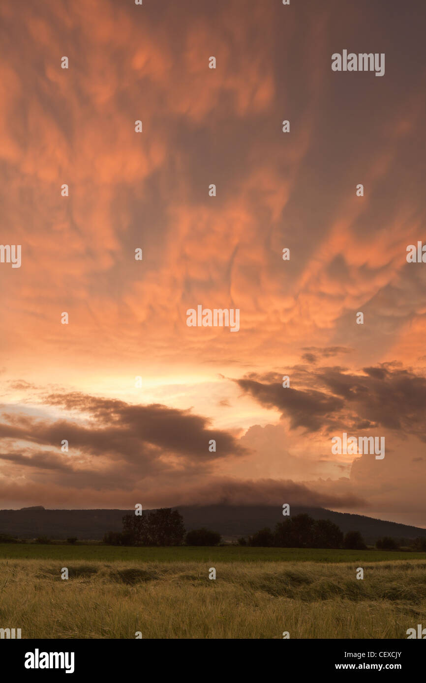 Sonnenuntergang über einem Feld; Manitoba, Kanada Stockfoto