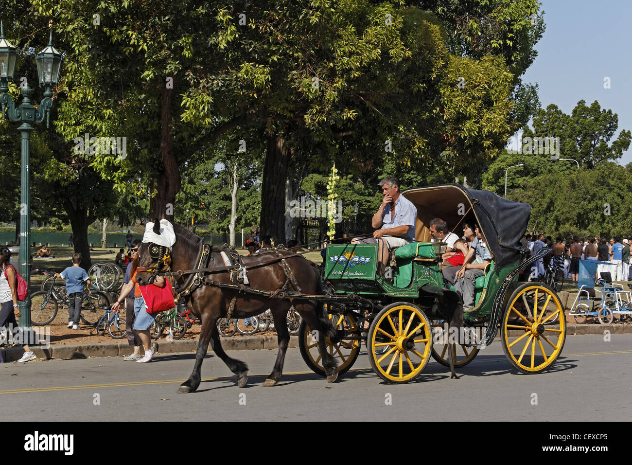 Pferdekutsche am Parque Tres de Febrero, Bosque de Palermo, Buenos Aires, Argentinien Stockfoto