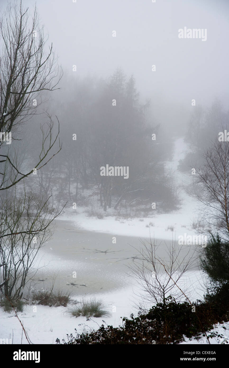 Zugefrorenen Teich im Schnee mit Nebel Stockfoto