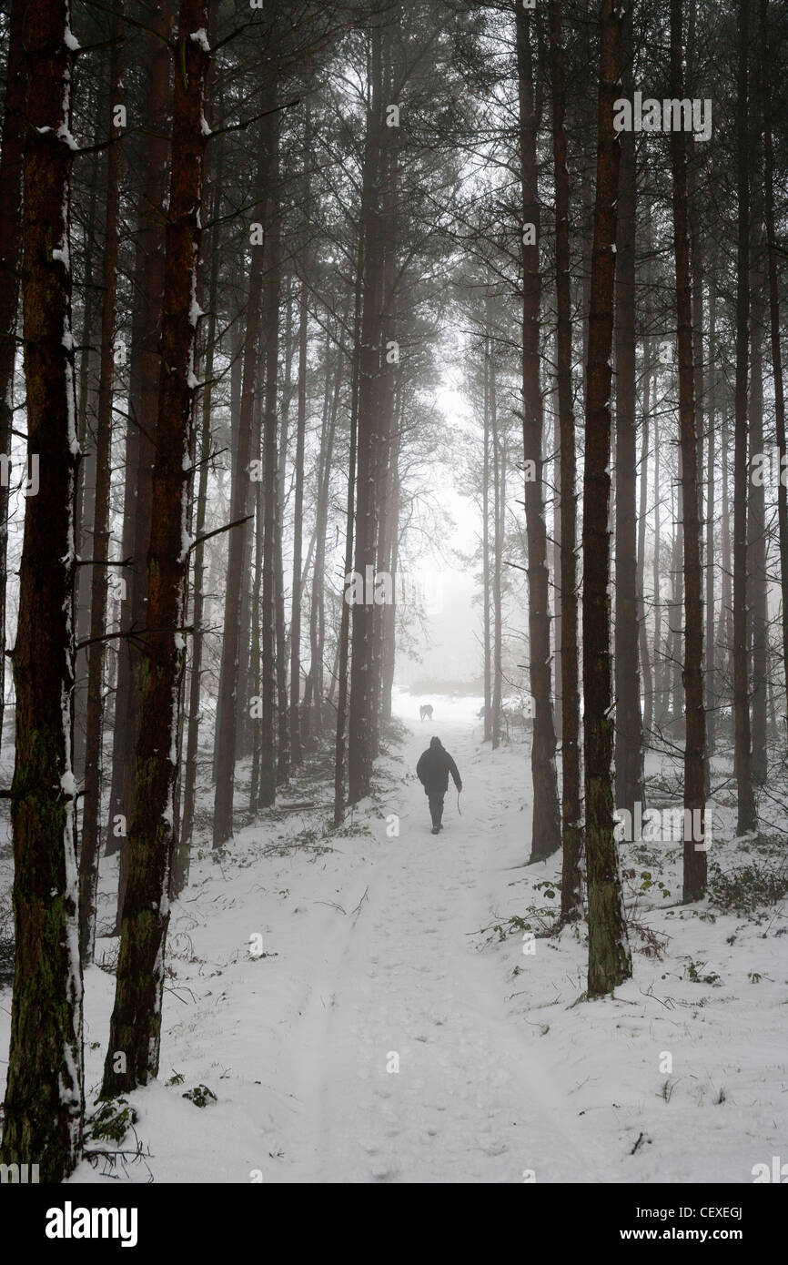 Mann im Schnee bedeckten Waldweg Stockfoto