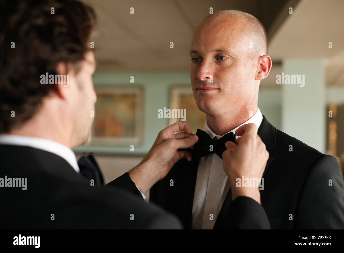 Anpassung des Bräutigams Fliege Mann Stockfoto