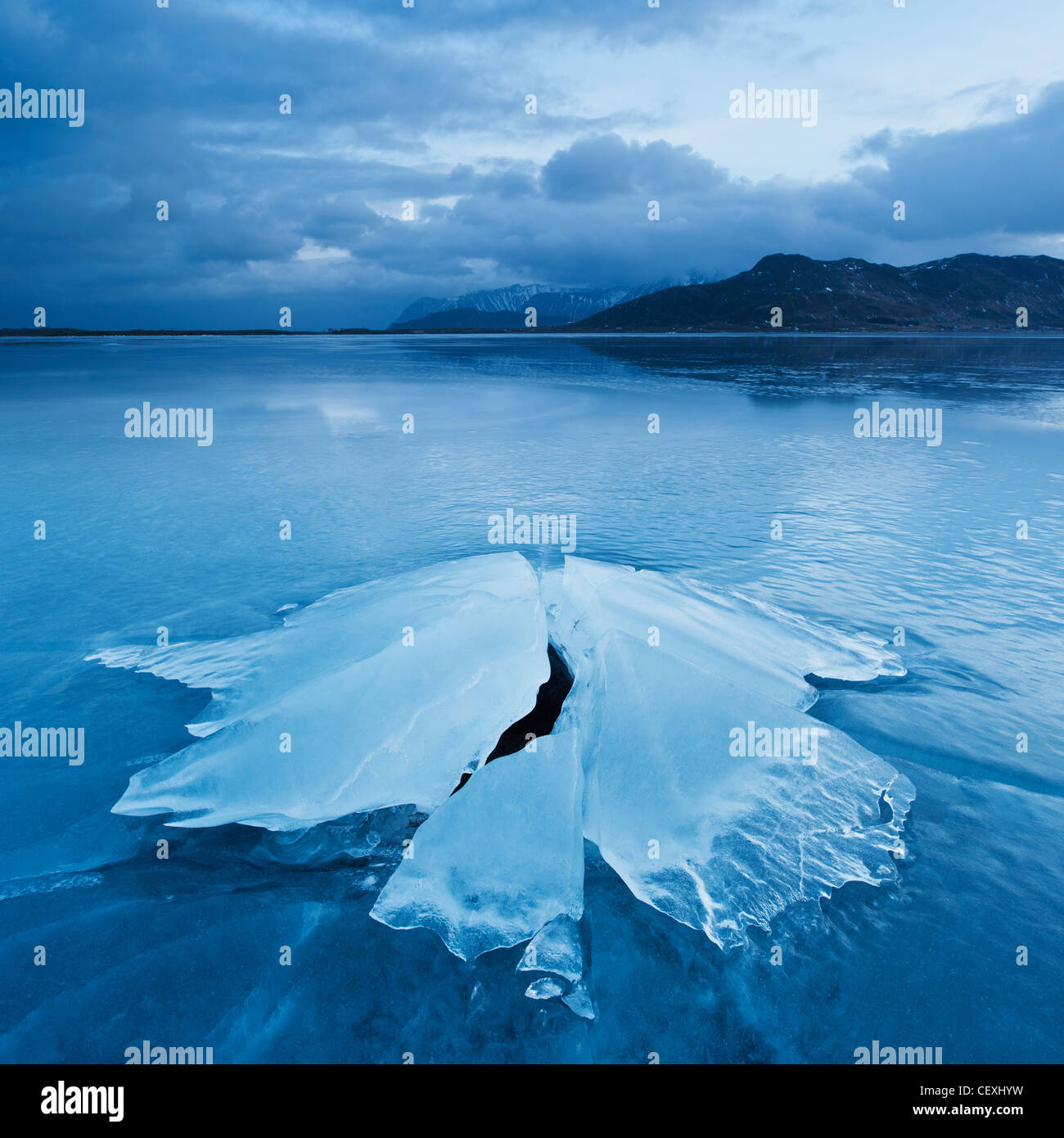 Eisbildung von gefrorenen Küste von Ytterpollen, Lofoten Inseln, Norwegen Stockfoto