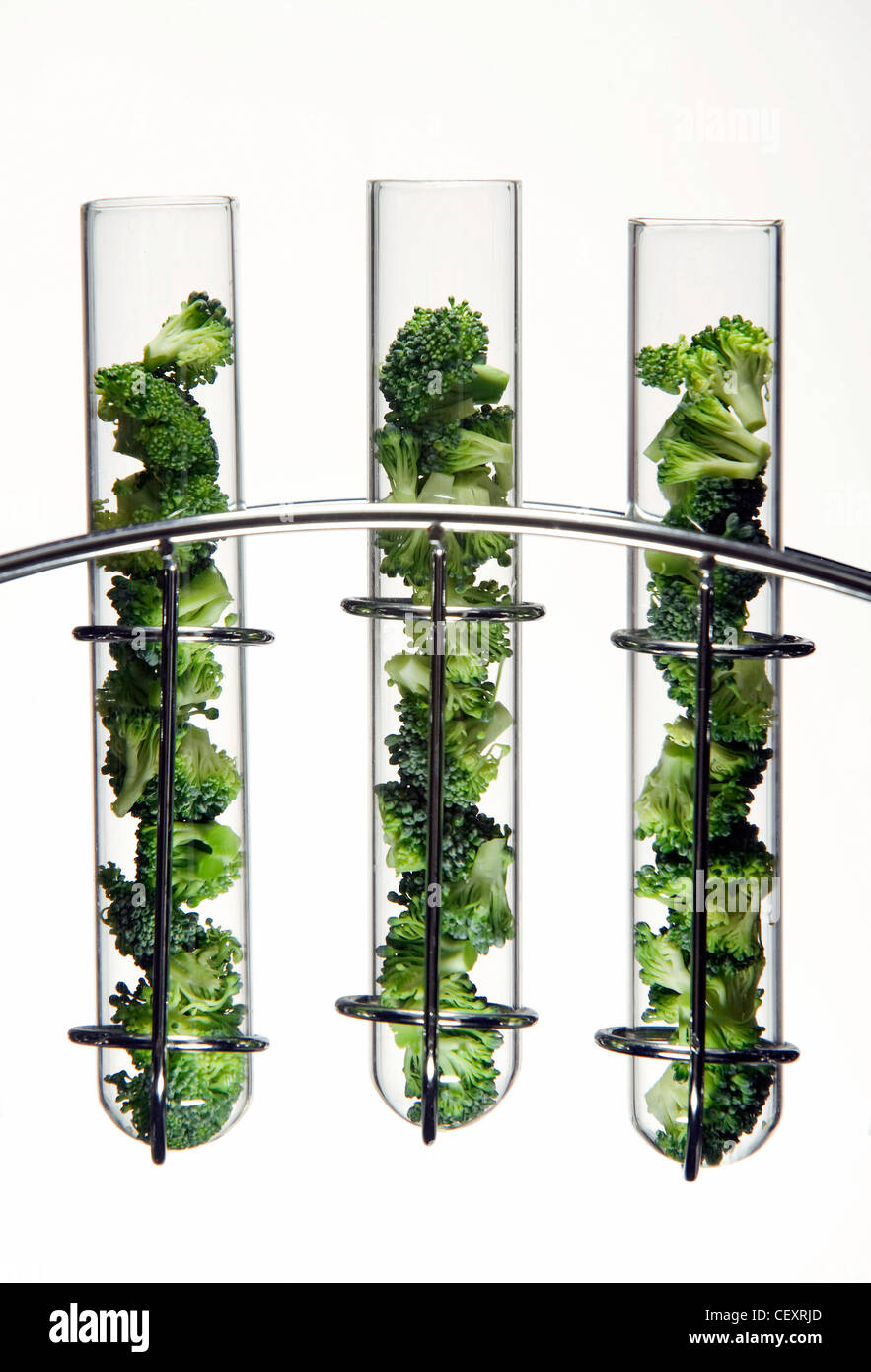 Brokkoli in kleine Röschen in Glasröhren Test in einem Chrom-Gestell geschnitten Stockfoto
