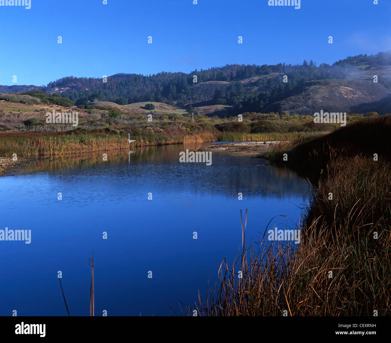 Wadell Creek am Highway 1, San Mateo County, Kalifornien Stockfoto