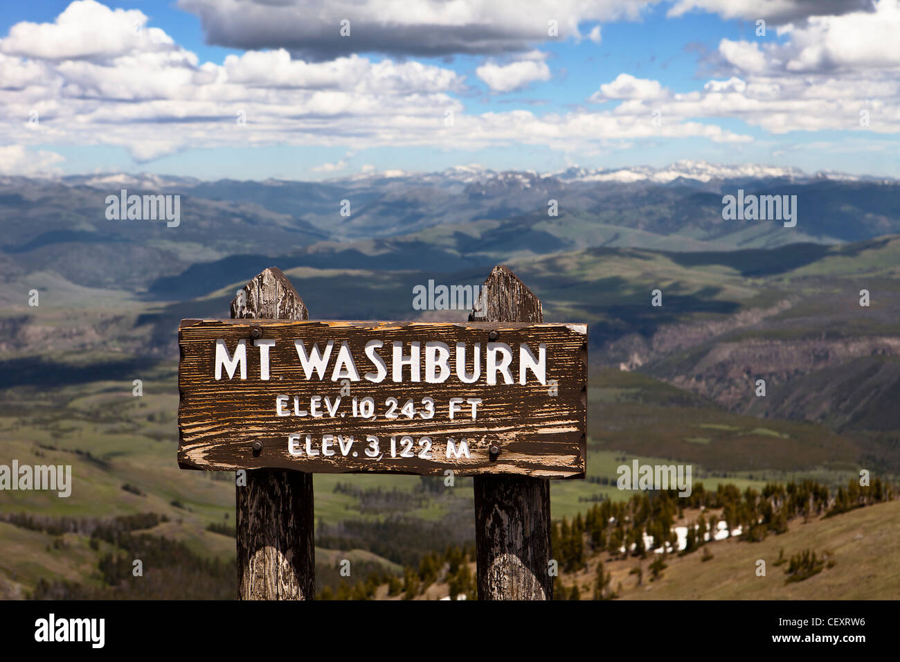 Mt. Washburn, Yellowstone Park Stockfoto