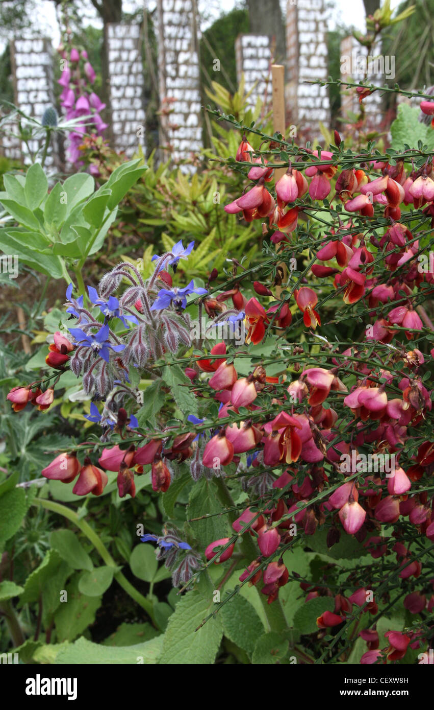 Chelsea Flower Show Schlüssel Garten Eden Project bei der Royal Horticultural Society Chelsea Flower Show in London Garten Stockfoto