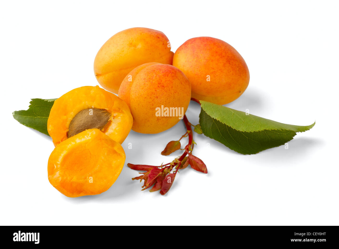 Aprikose Früchten isoliert auf weißem Hintergrund Stockfoto