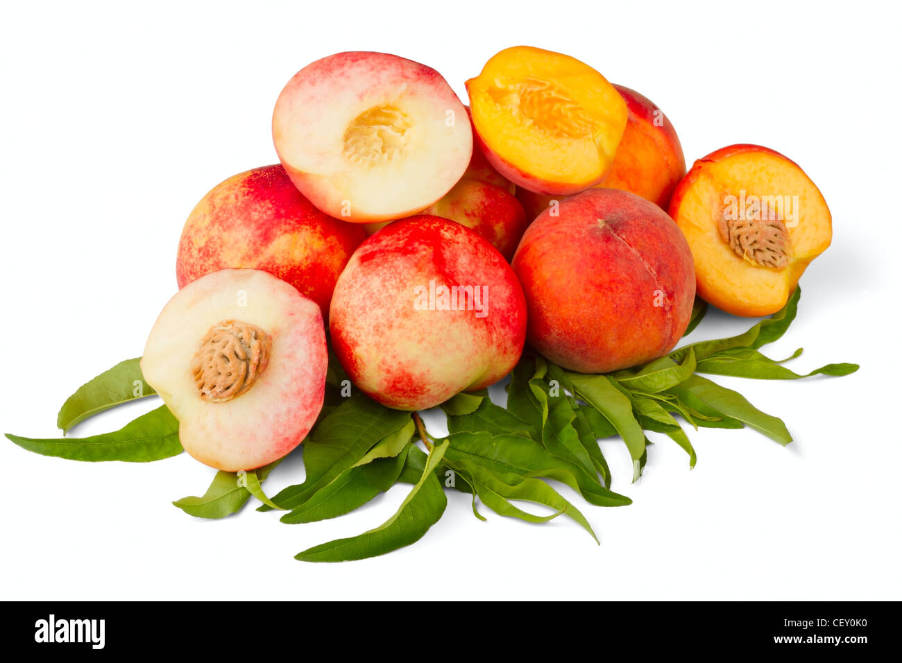 Nektarine und Pfirsich Früchten isoliert auf weißem Hintergrund Stockfoto