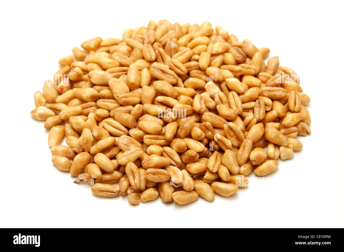 Vollkorn-Getreide auf weißem Hintergrund Stockfoto