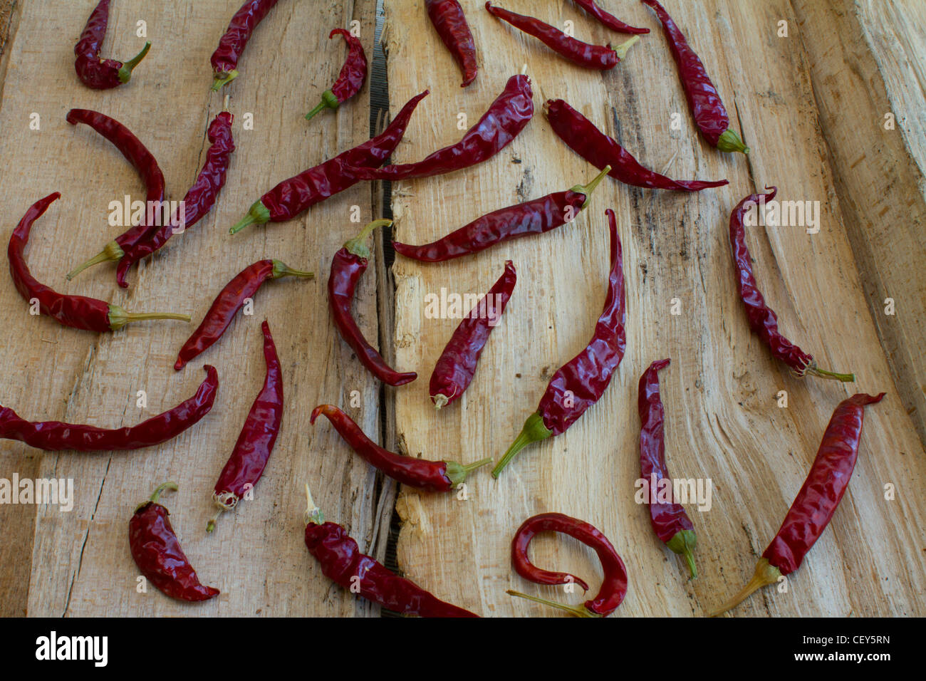 Getrocknete Chilischoten Stockfoto