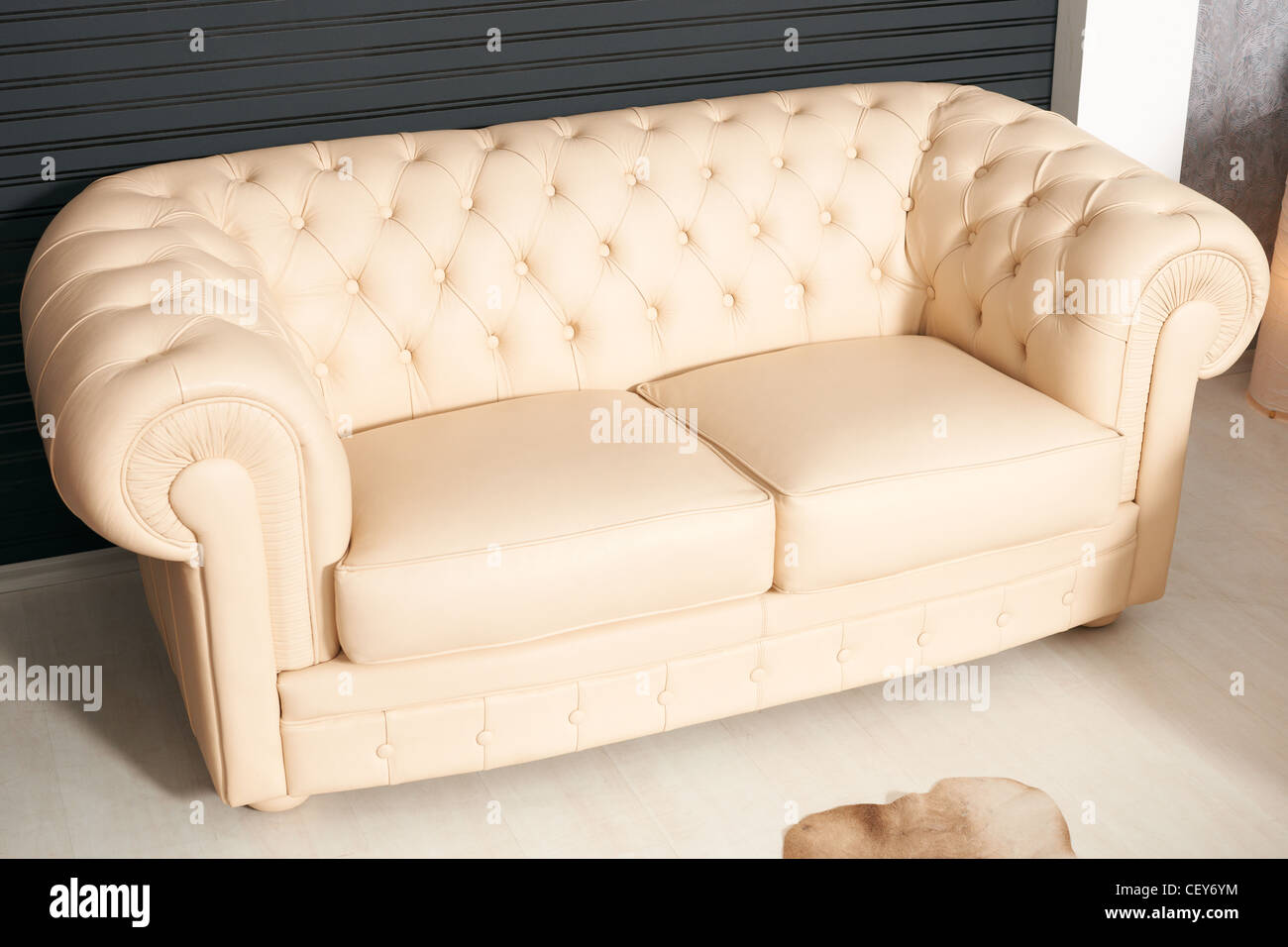 Schlafsofa Modern mit Naturleder Möbel bedeckt Stockfoto