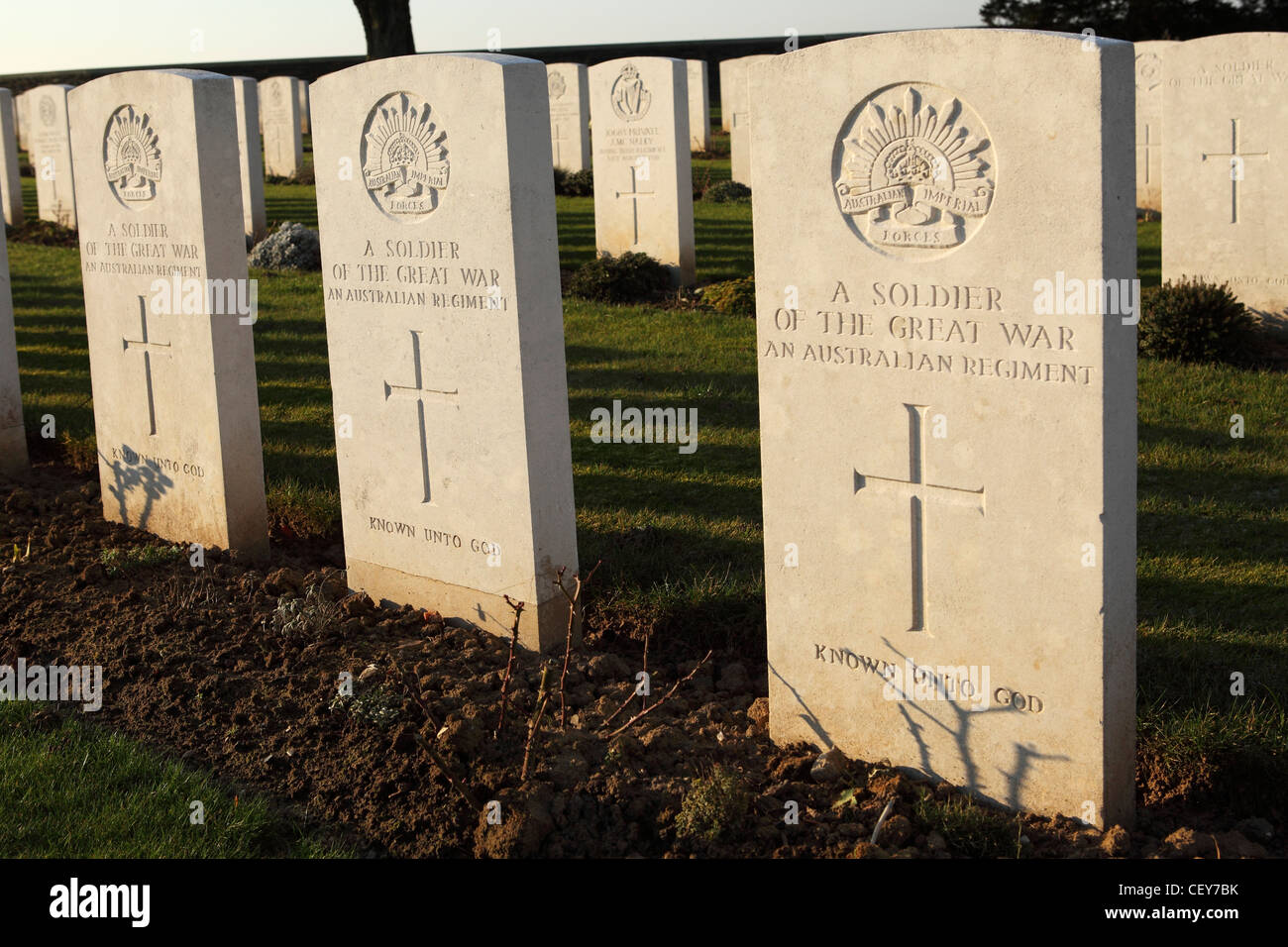 Grabsteine von unbekannten australische Soldaten im Cabaret Rouge British Cemetery bei Souchez, Frankreich. Stockfoto